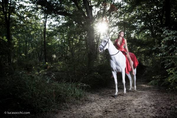 Modella in abito rosso su cavallo purosangue bianco