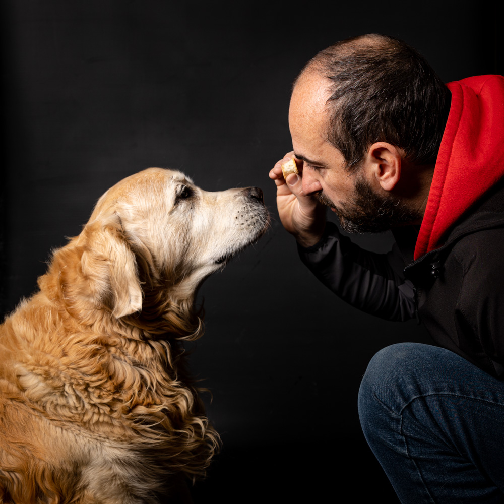 fare amicizia con il cane