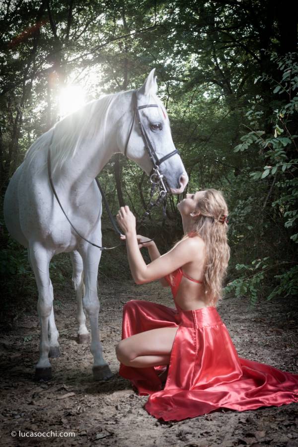 l'amore tra il cavallo e la sua conduttrice